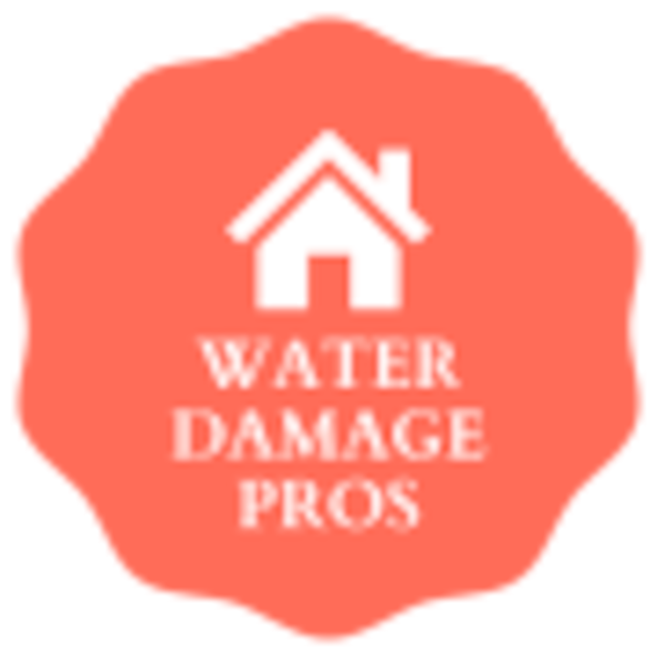 orange water damage professional logo